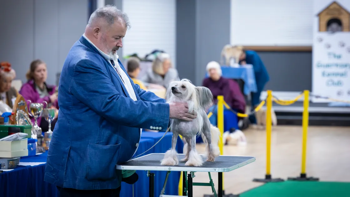 The Guernsey Kennel Club was founded in 1901 and has three more shows this anniversary year.