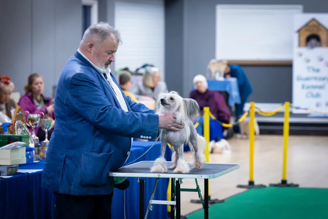 The Guernsey Kennel Club was founded in 1901 and has three more shows this anniversary year.