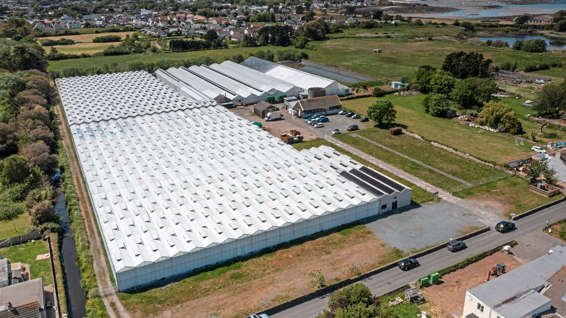 The busy nursery on Route Militaire will use the panels to help power production machinery such as conveyors.