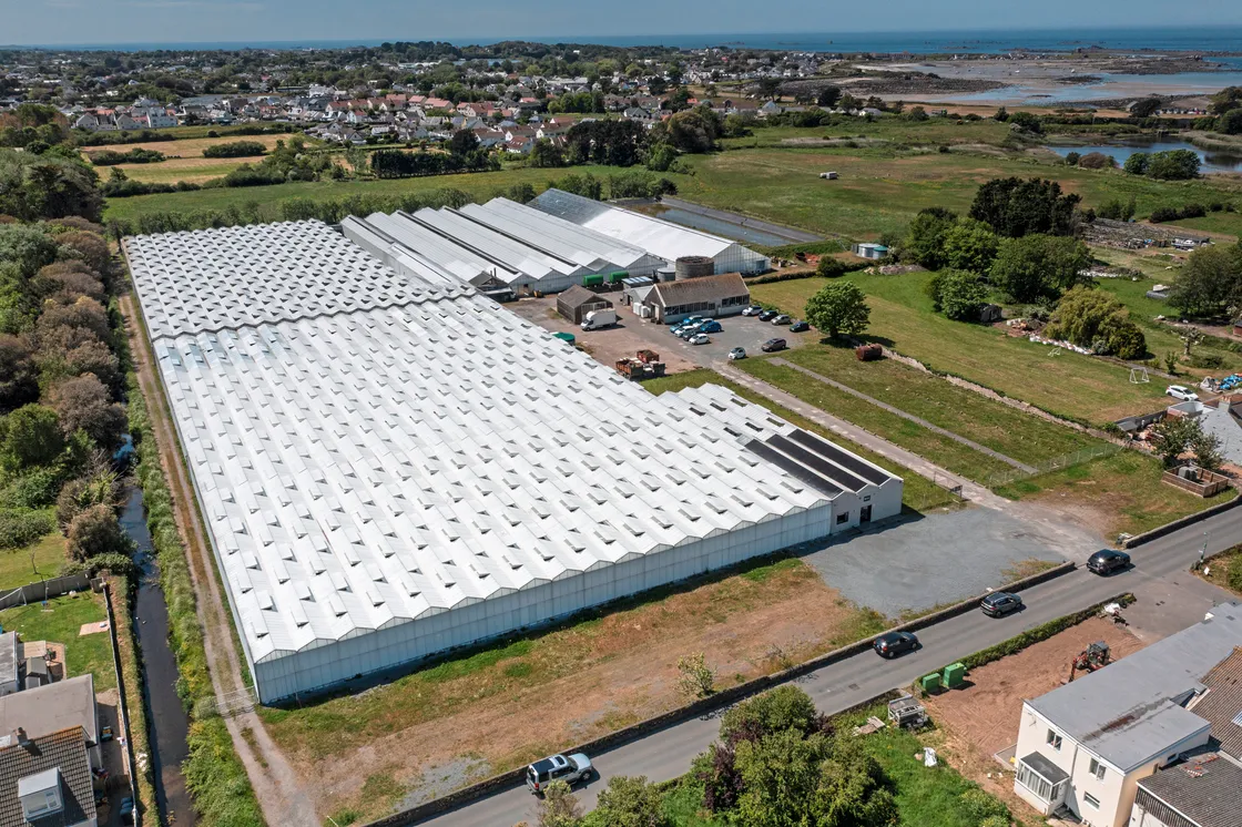 The busy nursery on Route Militaire will use the panels to help power production machinery such as conveyors.