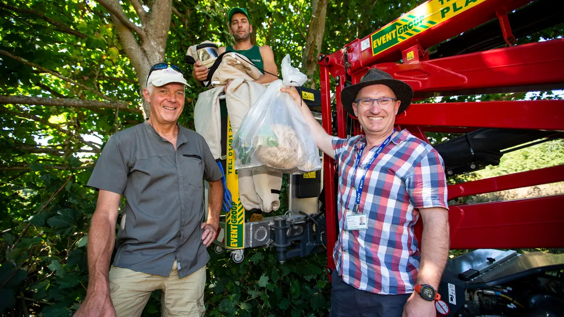 A hornet’s nest has been found and taken down near Rue Des Villains in Torteval. Left to right, Asian Hornet strategy team coordinator Francis Russell, director of Treevolution Chris Stonebridge, and Asian Hornet strategy field and research officer Damian Harris. (Picture by Luke Le Prevost, 31138997)