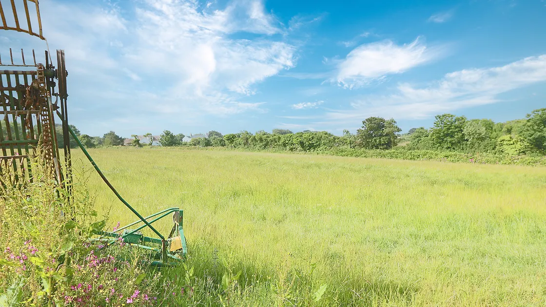 One of the fields being auctioned later this month. (31120807)