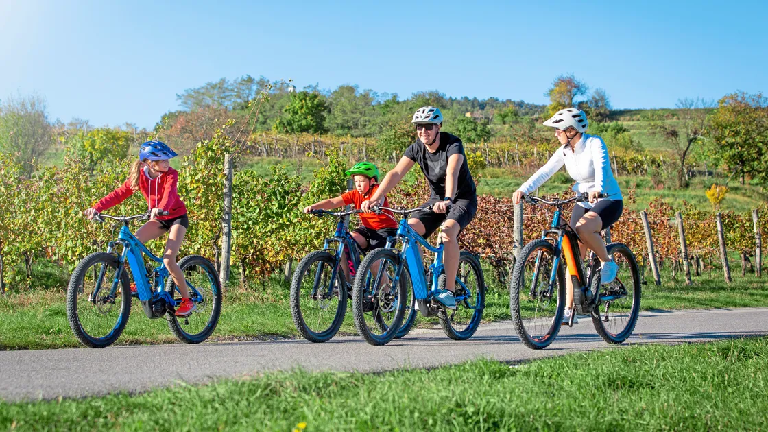 ‘In short, the current age restriction appears rooted more in outdated perceptions and fear, than in modern evidence or technology’