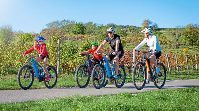 ‘Changing e-bike laws could dramatically cut traffic’