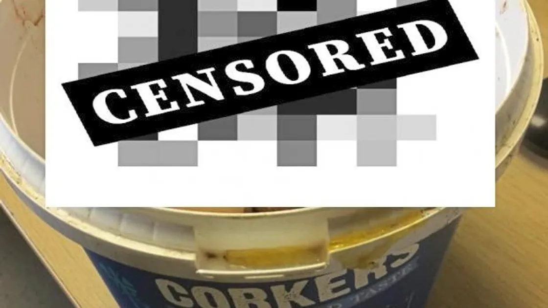 The GSPCA found a bucket with up to 30 dead chicks. Picture by GSPCA. (26323306)