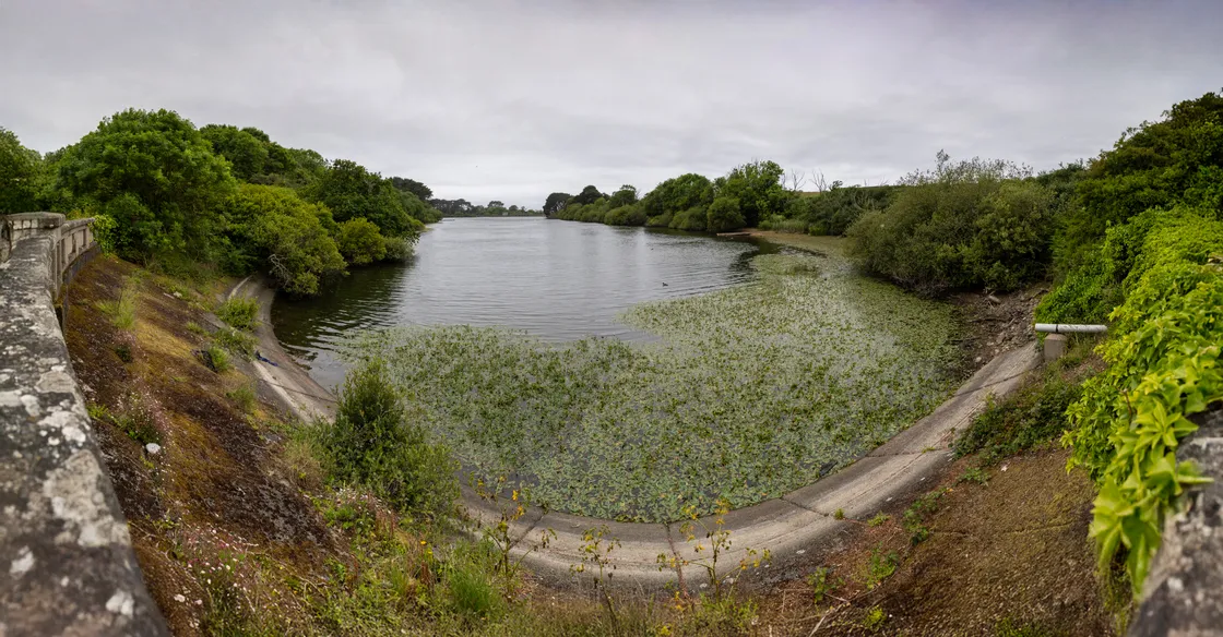 Guernsey Water is now intending to publish supply and demand figures and overall storage levels on a weekly basis.