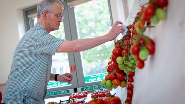 South Show attracts hundreds of entries