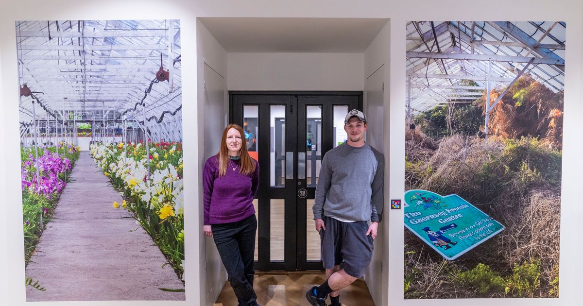 Home-grown talent on display at new exhibition