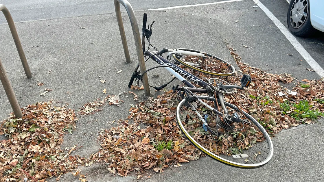‘It has been there only a fortnight or so, as prone and listless as a couple of those roadside cones at Hougue a la Perre’