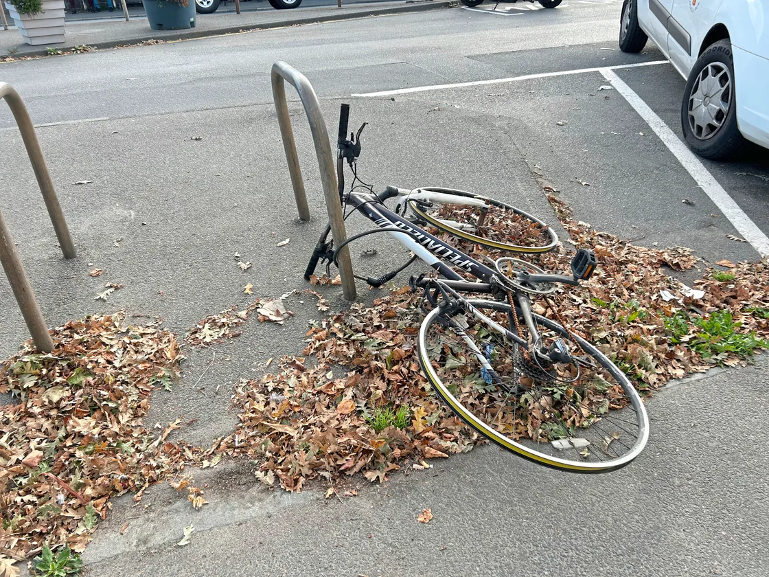 ‘It has been there only a fortnight or so, as prone and listless as a couple of those roadside cones at Hougue a la Perre’