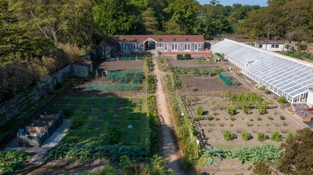 A garden reborn – 20 years of the Victorian Walled Kitchen Garden