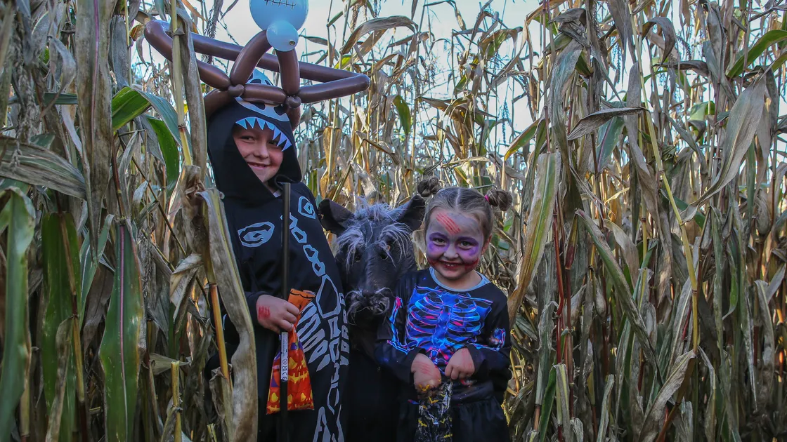 Oscar, left, and Olivia Marsh, 5, were in the Bunker of Horrors maze and scared by giant rat. (Picture by Jason Friend, 33724889)