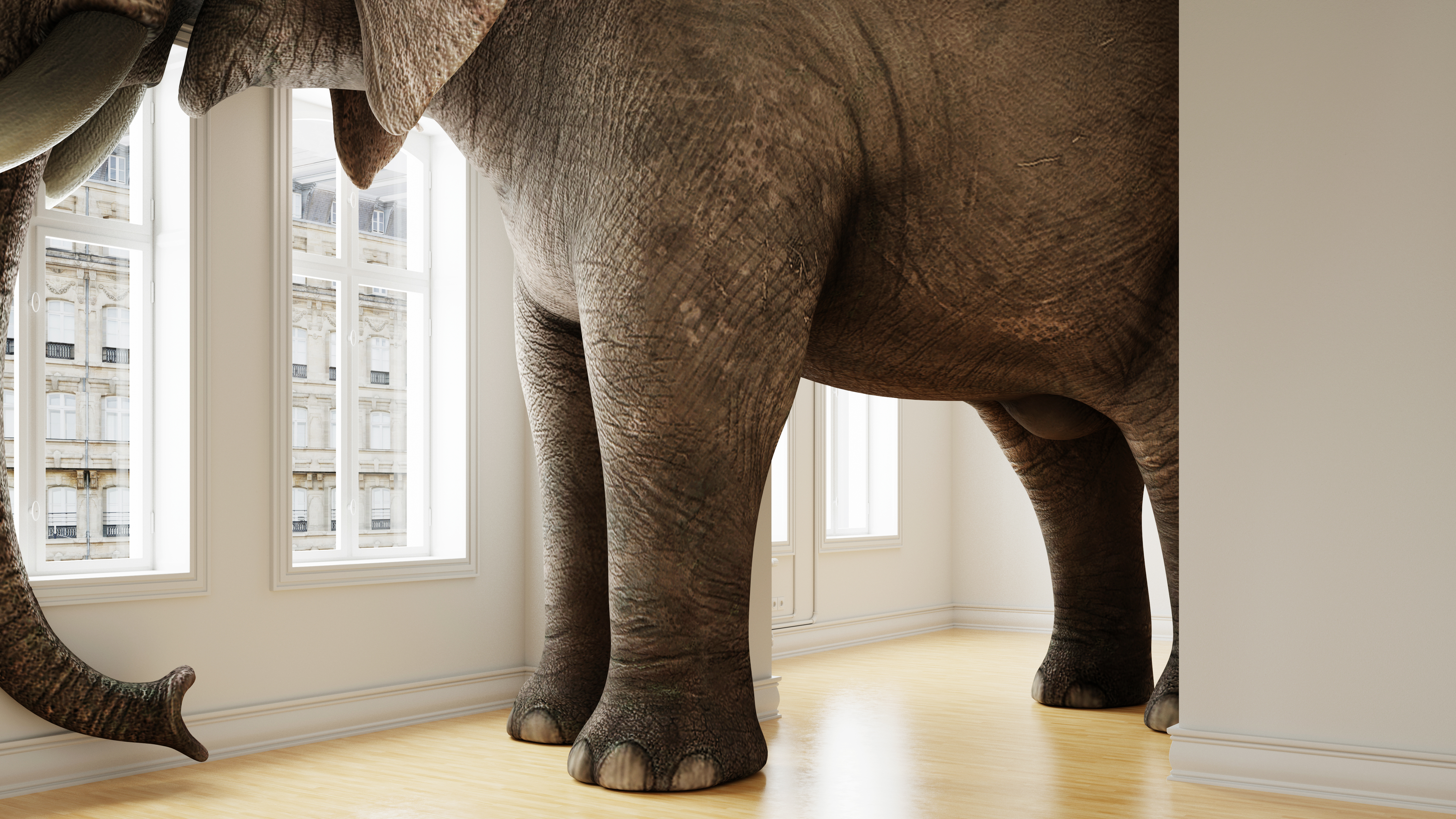 Richard Graham: The elephant in the room