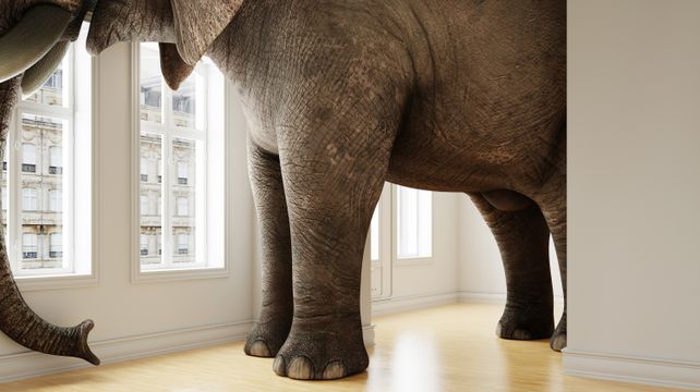Richard Graham: The elephant in the room