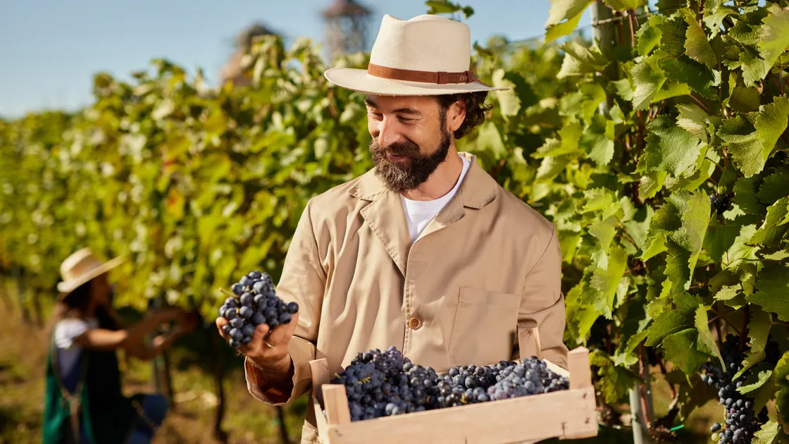 Richard Allisette continues to look at just what makes a wine taste the way it does