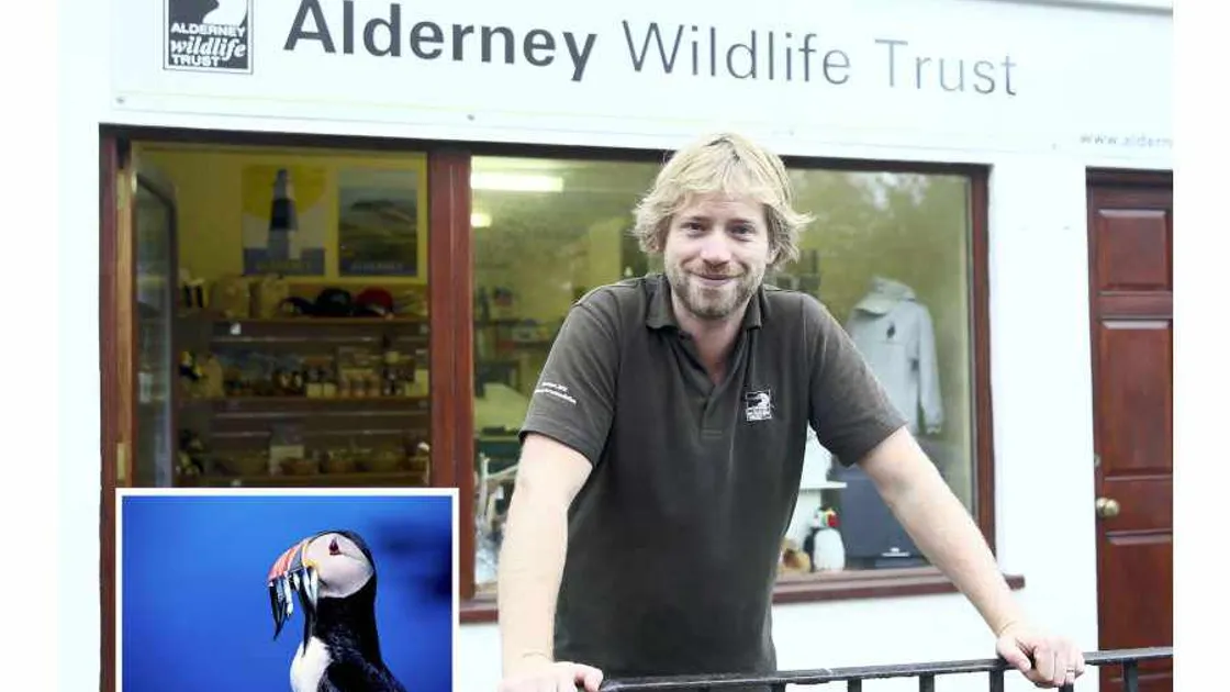 Puffin numbers down after storms of 2013