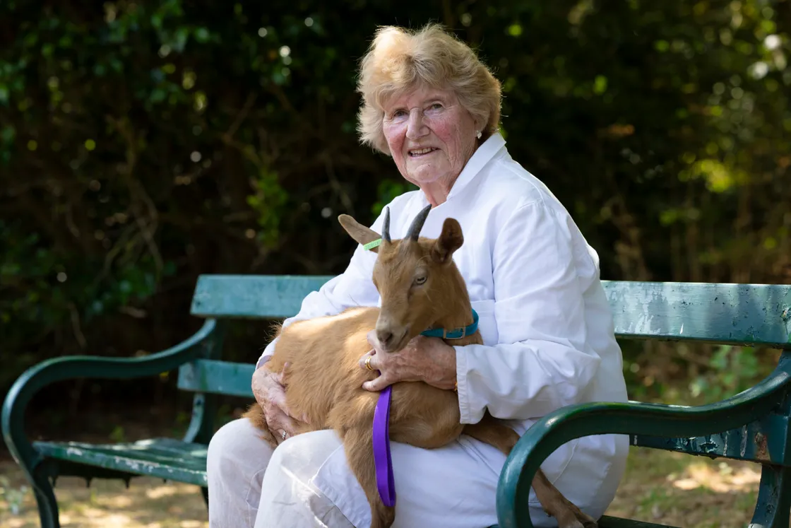 Carolyn Drewitt has been a judge of goats for more than 50 years.