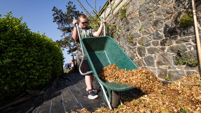 Blake steps back from work on Delancey Park garden