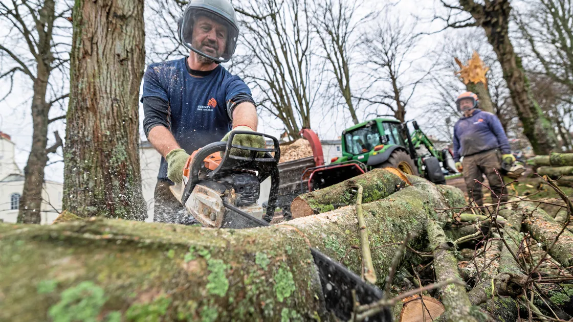 Across town, Guernsey Tree Services were removing seven trees from Cambridge Park that were felled by the high winds