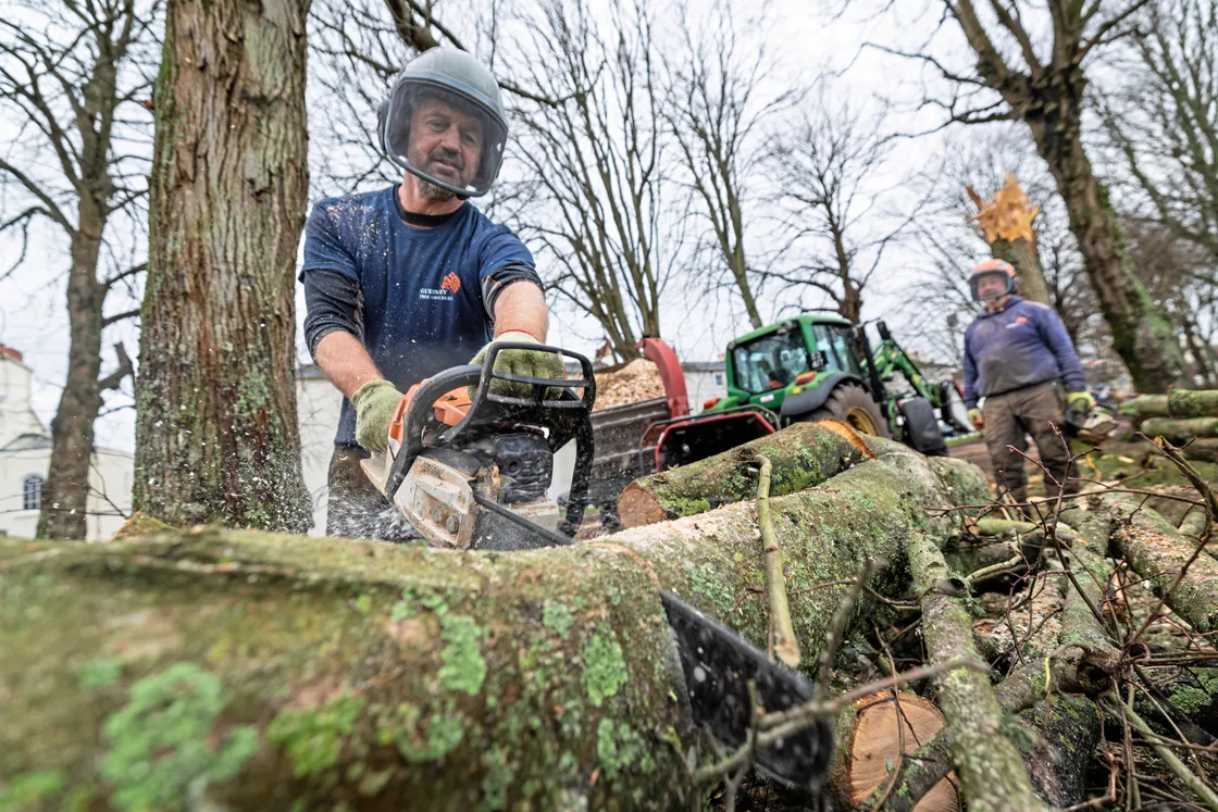 Across town, Guernsey Tree Services were removing seven trees from Cambridge Park that were felled by the high winds