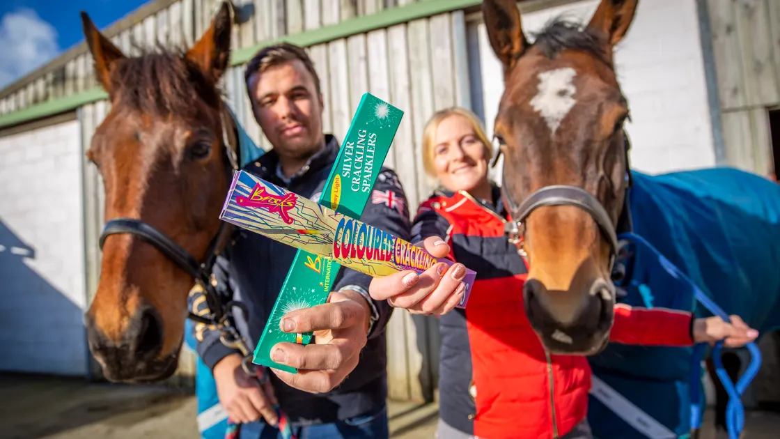 Neil Sarre and Sarah Jackson at Otterbourne Stables, pictured with horses Pete and Millie. The pair are concerned for the welfare of the horses on bonfire night as fireworks scare the animals. (Picture by Sophie Rabey, 31440932)