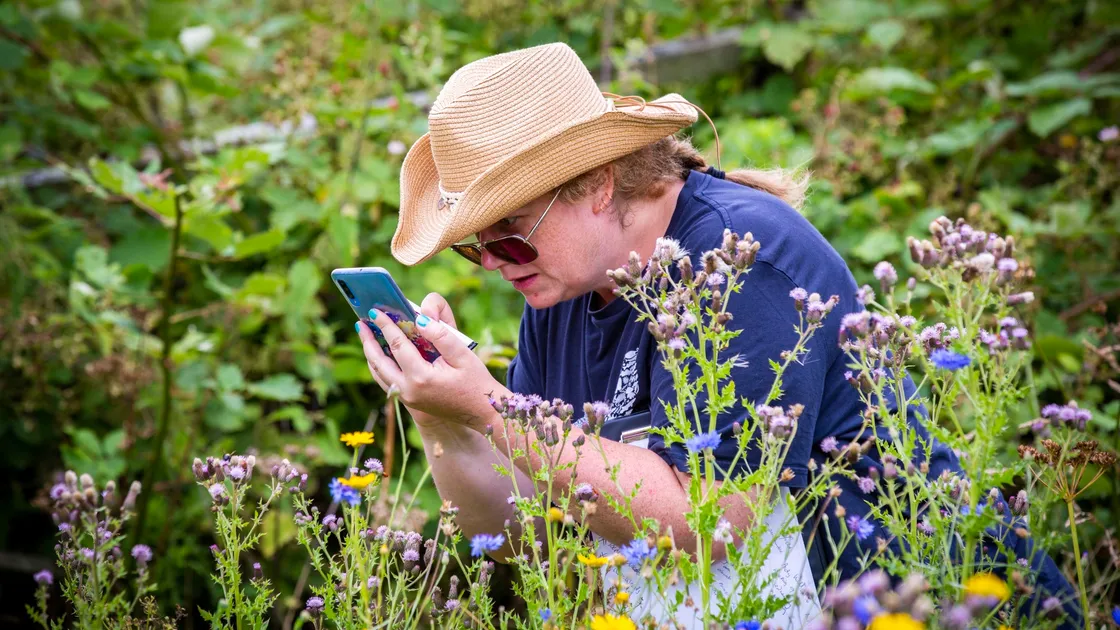 Garden competition’s focus is on wildlife and biodiversity
