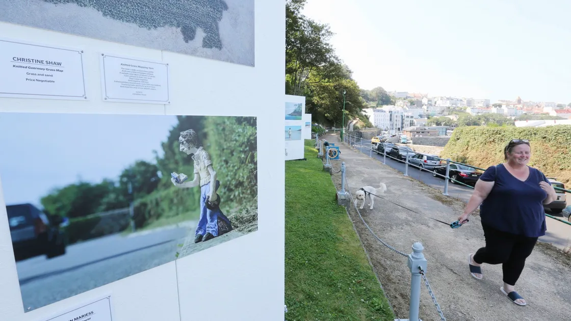 The Art in the Environment exhibition is on at La Valette for the whole of August. Among those who took it in yesterday were visitor Sarah Leng, from Scotland, who thought it was a good use of the area. (Pictures by Adrian Miller, 25417594)