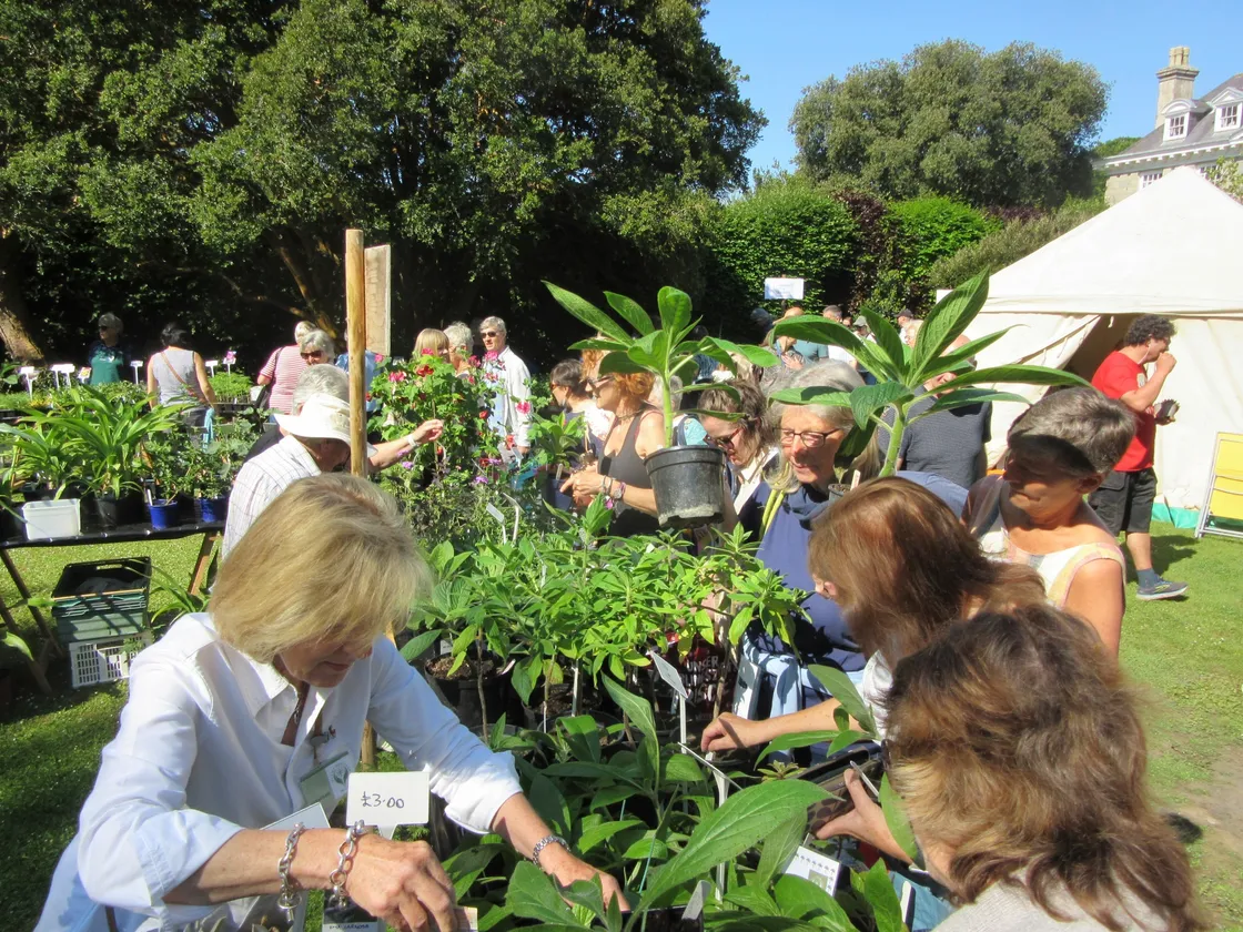 A very busy giant plant sale at Sausmarez Manor. (Picture by Mark Ogier) (29606137)