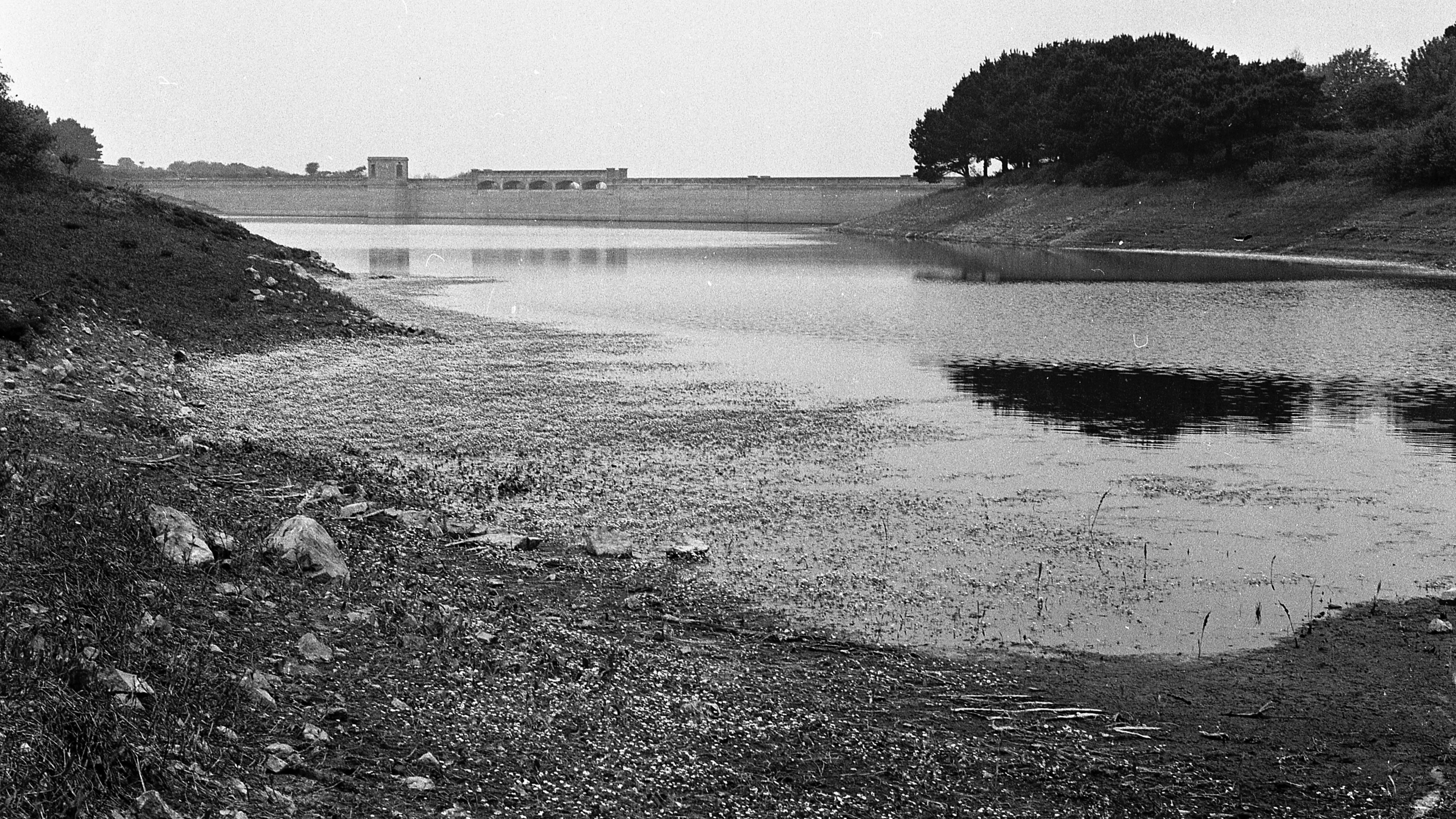The drought of ‘76