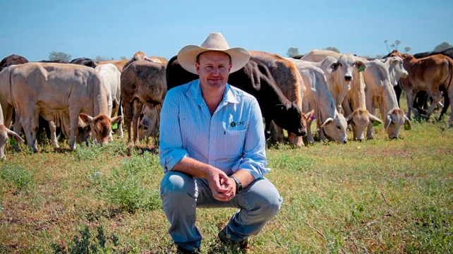 Guernsey praised for its approach to dairy farming