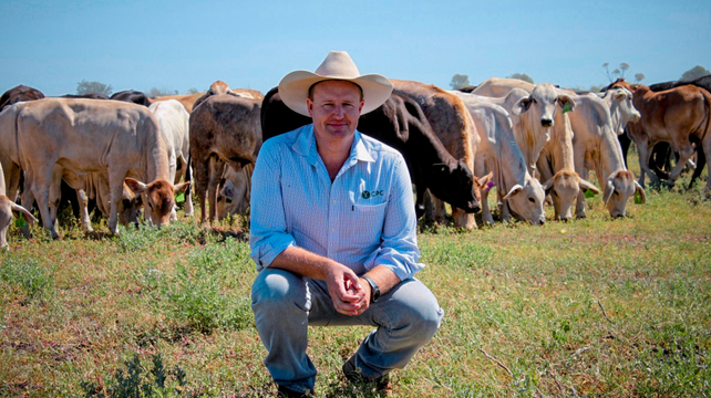 Guernsey praised for its approach to dairy farming