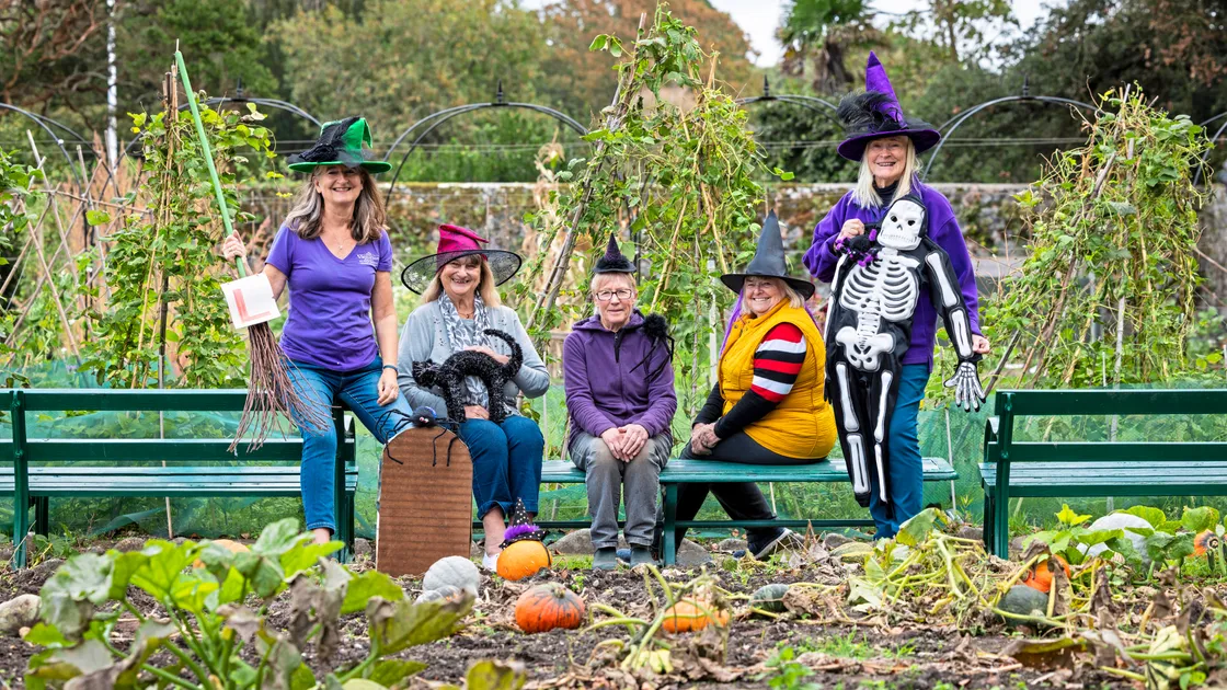 Left to right, Joy Liggett, Jean Wood, Linda Jones, Carol Whitby and Cathy Morgan