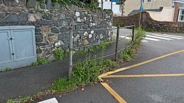 Glyphosate ban ‘leaves the island looking neglected’