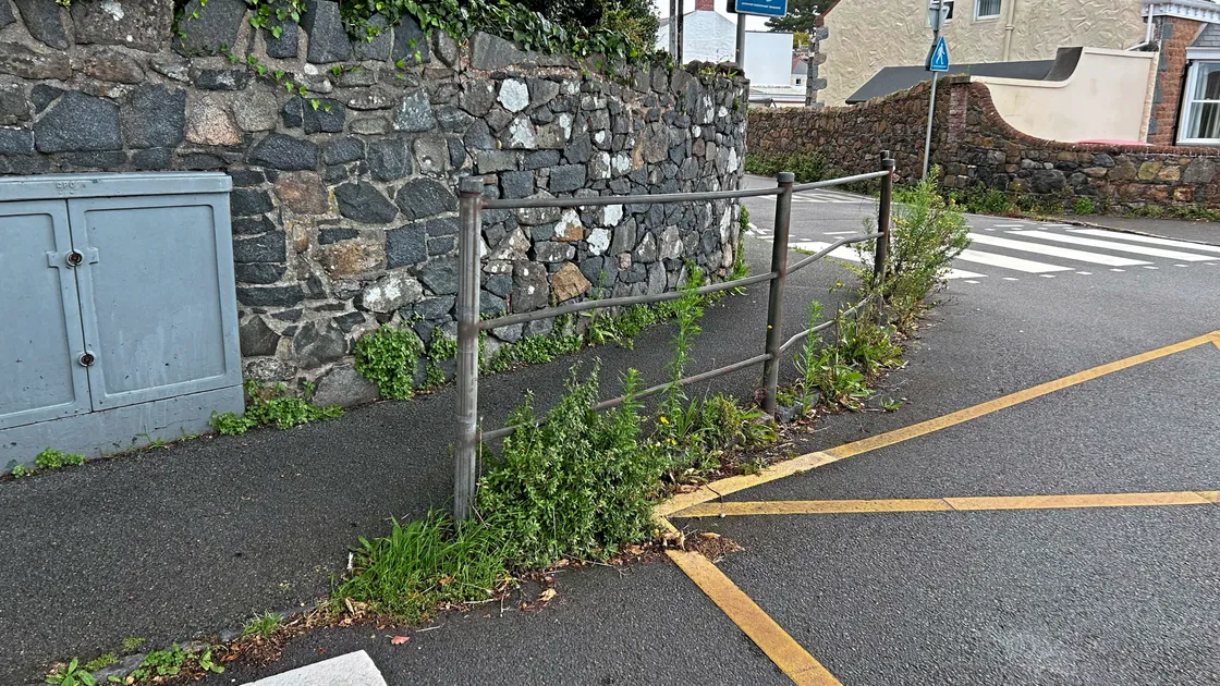 Deputy Sloan feared that ending the use of glyphosate prematurely could result in higher maintenance costs in the future