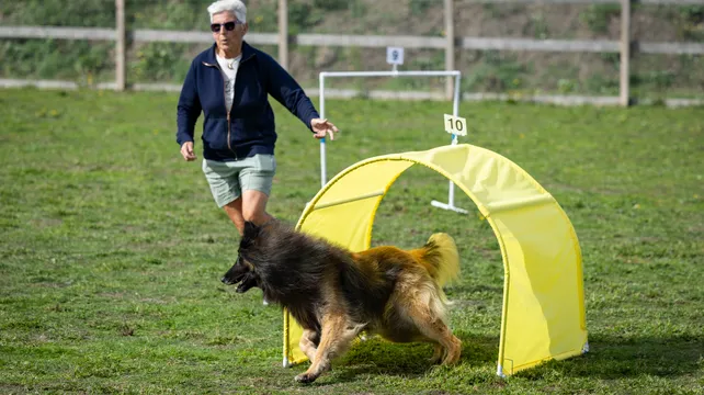 Inclusive Canine Hoopers show welcomes all breeds