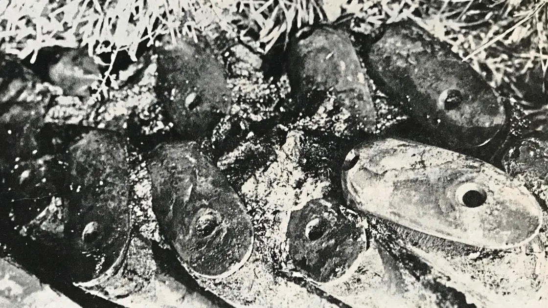 After 163 years under the sea a box of muskets were retrieved from the wreck site.