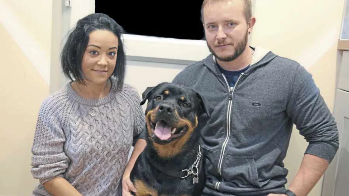 Dog owners urged to take responsibility for their pets