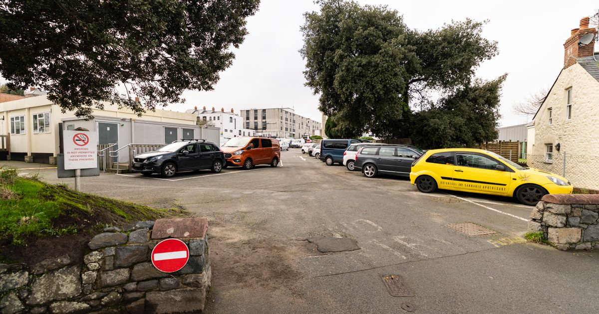 Lecturer says environment at TGI was so bad they quit career