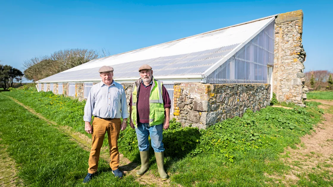 Ron Le Cras, left, and Rodney Dyke in the fields on Route des Paysans where the Agricultural Show is usually held.