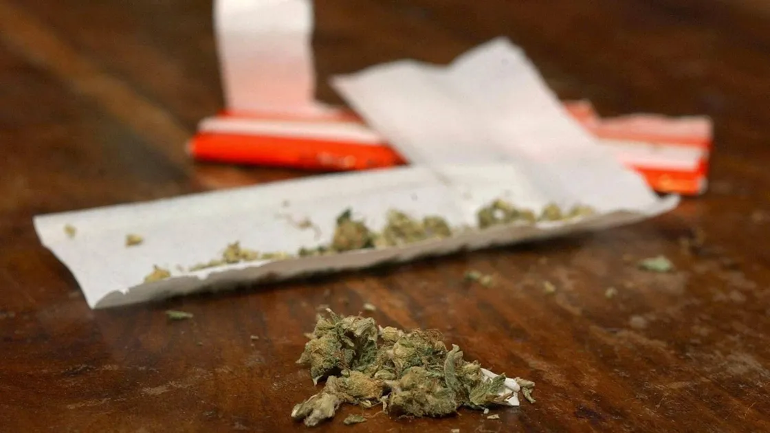 Library filer dated 04/02/2004 of cannabis buds and rolling papers. A fifth of youngsters with no urge to take drugs admit that they could give in to peer pressure, according to a survey published Tuesday October 11, 2005. The research for drugs information line Frank found that while more than three-quarters of 12 to 18-year-olds say they do not plan to take drugs in the near future, 21% of this group admit they could be tempted to try a substance to join in with friends. See PA Story SOCIAL Drugs. PRESS ASSSOCIATION Photo. Photo credit should read: Matthew Fearn/PA.(DRUGS). (30574538)