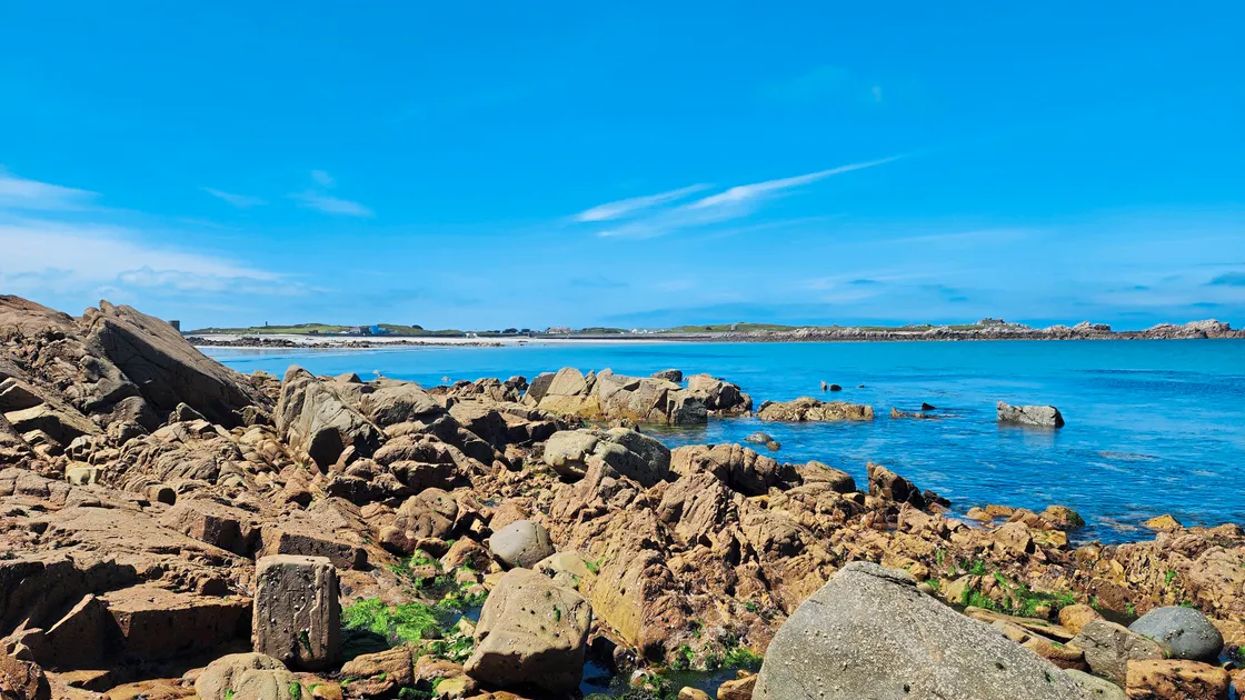 Lower shore - a beautiful day for the BioBlitz on the foreshore