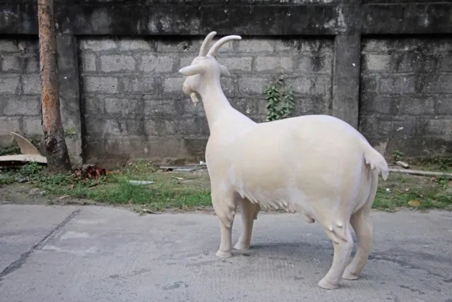 Pictures supplied by Mandy Morris from Autism Guernsey. Unpainted fibreglass shells of goat parade goats, currently being made in the Philippines. (27205039)