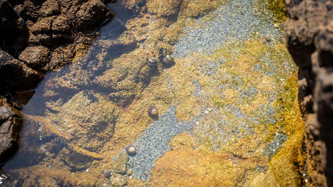 Deputy Laine said he was concerned about the effects of the lead on children who play on the rocks.