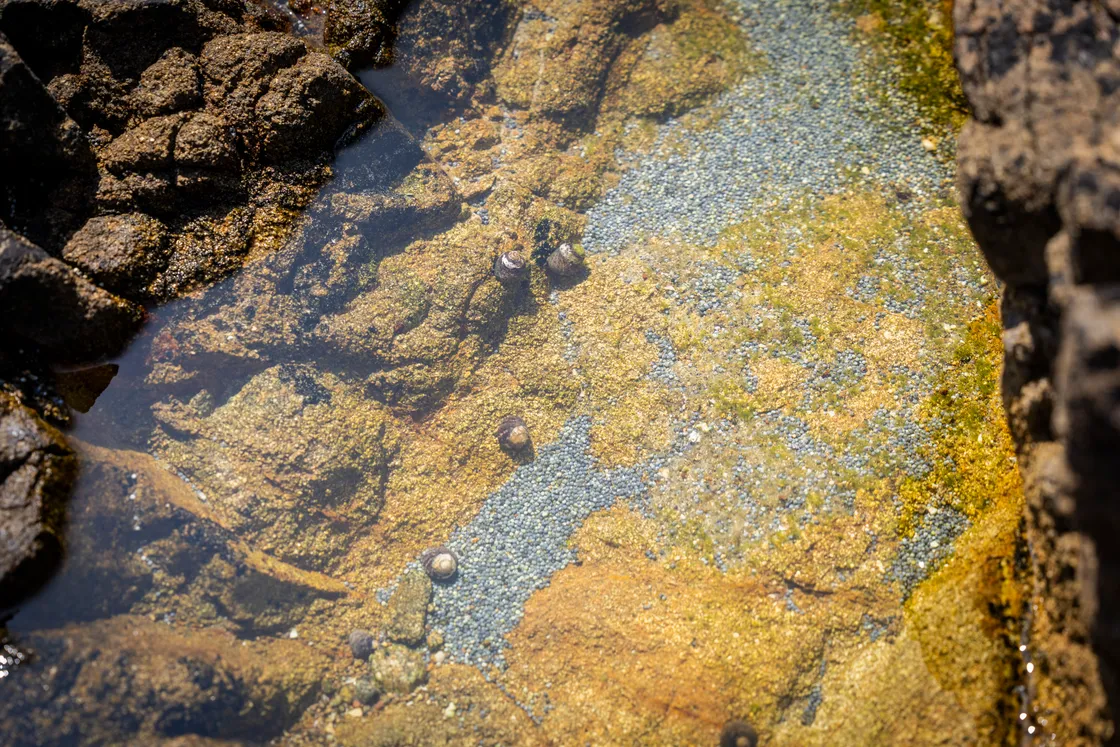 Deputy Laine said he was concerned about the effects of the lead on children who play on the rocks.
