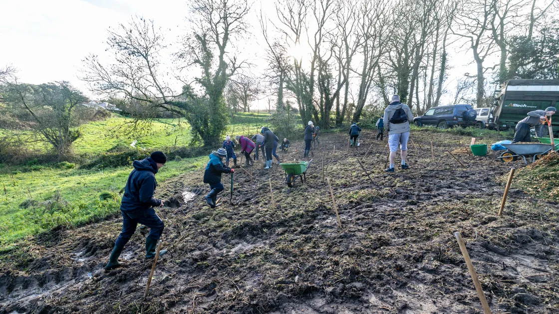 Guernsey Trees for Life’s core volunteer group came together to plant hundreds of trees at Les Picques Reserve over the weekend
