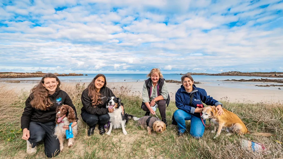 Left to right, Beki Le Cheminant with dog Cyan, Olga Rabey with dog Pru, Jane Livermore with dog Harvey and Amanda Hibbs with dog Joey