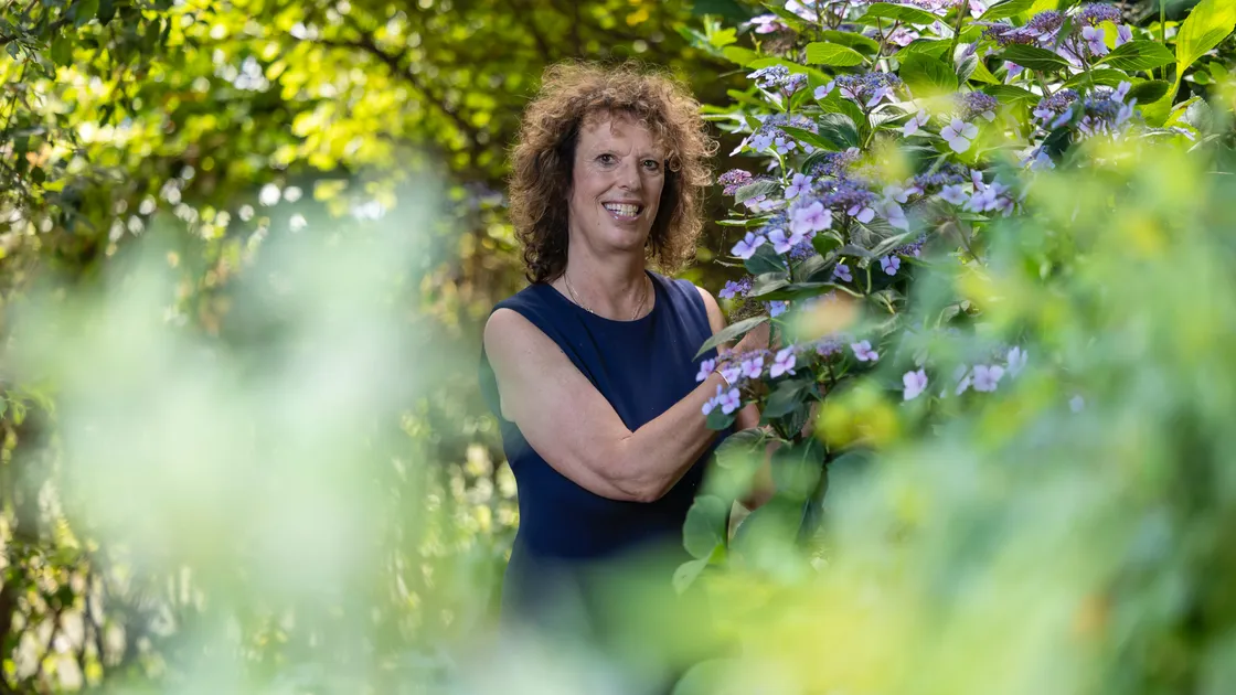 Liz Pirouet-Douglas making the finishing touches to the St Saviour’s Community Centre floral displays ahead of judging for Britain in Bloom.