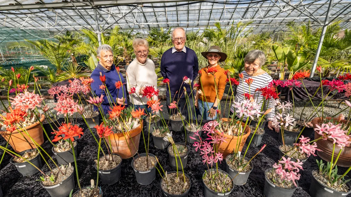 The Nerine Festival starts today at Guernsey Gardens. From left, organisers Rose Rankilor, Linda Fermont, Charles Tracy, Suzie Dorey and Jill Bishop. (Picture by Sophie Rabey, 34970204)