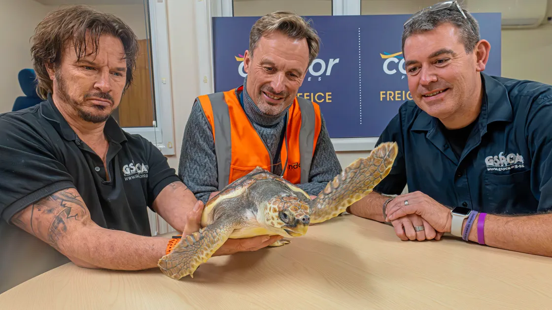 ‘Barnacle Bill’ the turtle left the island this week on Condor Islander for Seal Life Brighton with all paperwork finally signed off. Left to right, the GSPCA’s Geoff George, Condor’s Ian Le Moigne and GSPCA manager Steve Byrne. (Picture by Chris George, 33865339)