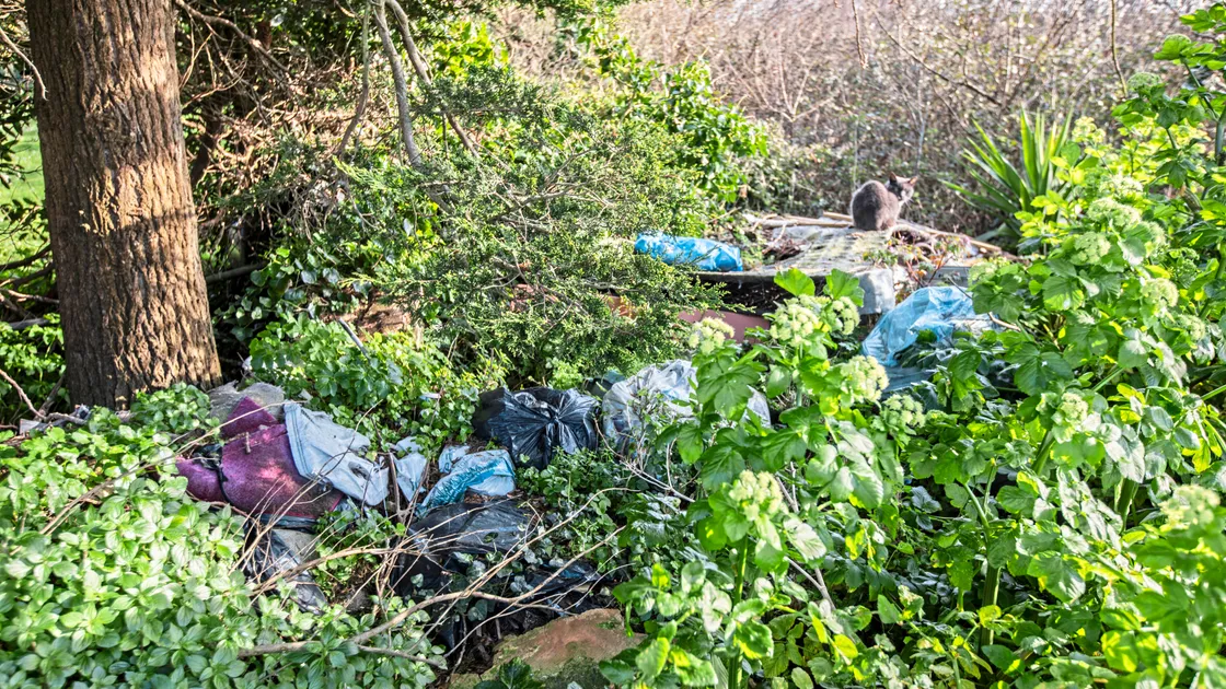 Fly-tipping across the road from the estate on Pont Vaillant. (33078552)